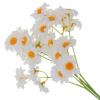 1869_2b5ad47b838215517416044da12d393a
