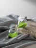 15581_73221-LIME_16