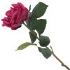 16555_ed152e3ed16f03d45524a55b39ad87c5