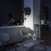 10178 White_7