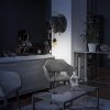 10178 White_7