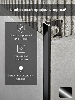 Профиль PROTERMINAL H=10мм алюм.окраш.черный L 2,7 м PTА10-11