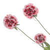 15157_95ee5b476839941d0ffcca6ab66a0679