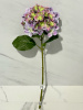 IMG_7423 (3)