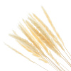 4078_1dd08165d58e4df991b561526ef41579