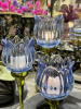 TULIP blue_7