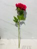 IMG_4633 (3)