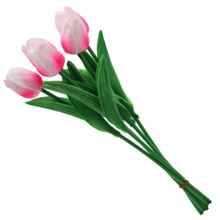 20066_196a15ada1ff3d877f590210b07a87a0
