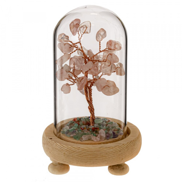 14772_568f372afe9afed748e13e18d306f0d1