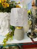 IMG_6397 (3)