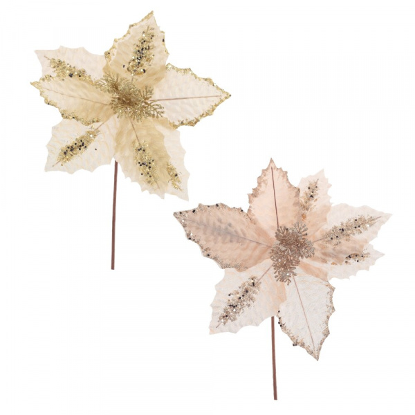 13569_2670b34af3d417ac644d3195cc8616da