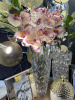 IMG_8396 (3)