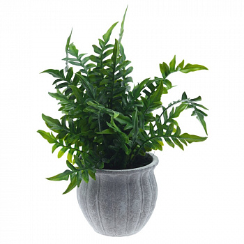 Цветочная композиция, L12,5 W12,5 H30 см