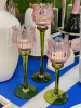 TULIP pink_6