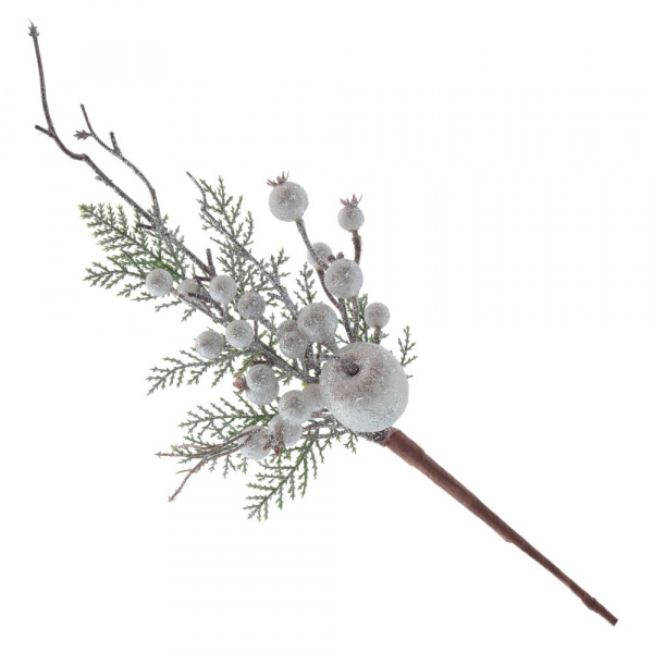 9531_36c2bf579e26d6974247b1a30aa71af5