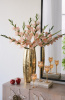 17298_B0043-AMLS_14