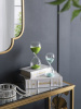 15579_73221-LIME_14