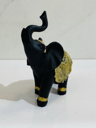 IMG_1113 (2)