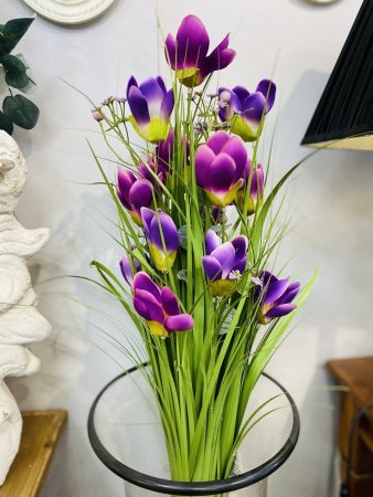 IMG_4422