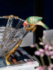 28579_GLASS_2