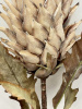 ZFF251129_9