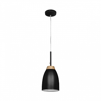 Светильник подвесной Casaentera Watchman CE13-LOFT4402A-BL черный d160х230