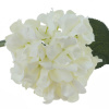 16324_95c75d27e82f24aee4642ffe6abe111c