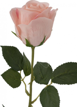 31310_A0001-PINK_5