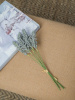 17584_SA11646-GRAY_5