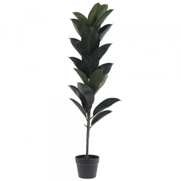 34925_8a7e287fff12b911a3ad476b915217a3