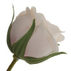 16543_dce8d82060448756ab78f56d6cedf146