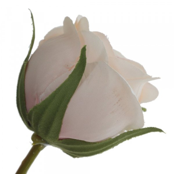 16543_dce8d82060448756ab78f56d6cedf146