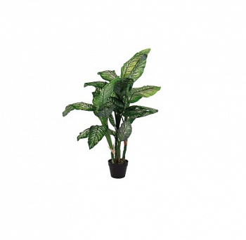 Растение декоративное BIZZOTTO DIEFFENBACHIA 0172727 d900х1200h