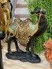 IMG_8663 (4)