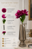 ChatGPT Image 5 июн. 2026 г., 16_02_03
