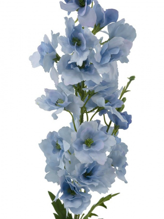 31523_A0027-BLUE_2