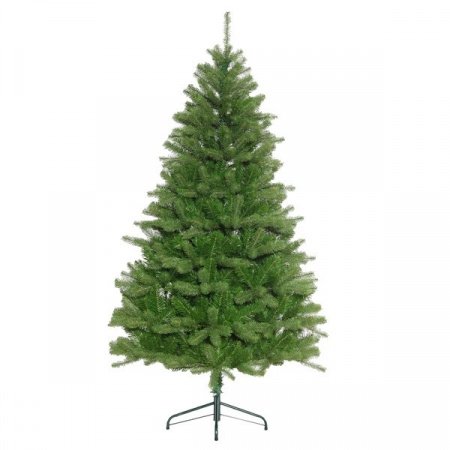 802_1cf19aa533d553baffa946fb5310623f