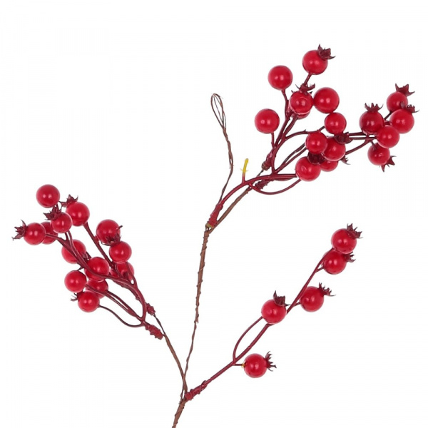13039_cd5771eaeb3fe9f9527c42d7fd64063c
