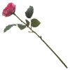 45584_a7f88301221d34a7227539486b81e24b