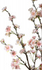 31500_A0023-PINK_12