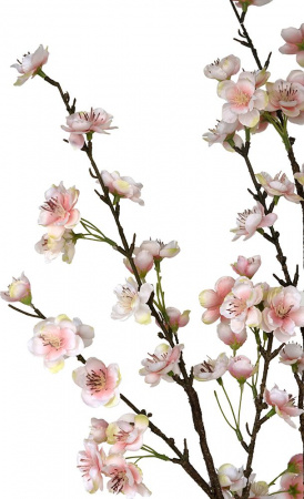 31500_A0023-PINK_12