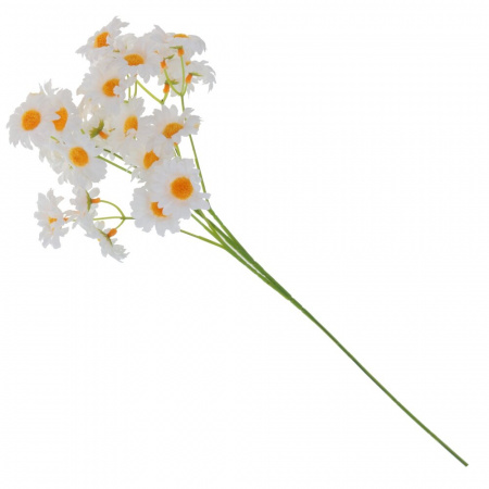1870_92032bd65f406fb0277efdbe2b24dbab