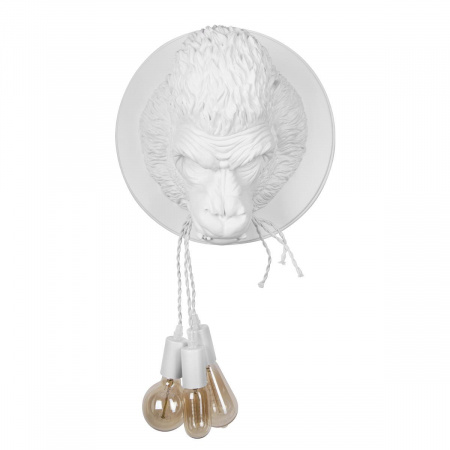 10178 White_3