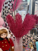 IMG_5988 (2)