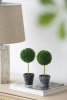 26944_29574-BLAC_7