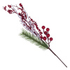 18795_87743de067fe6dc6d724a1a1b2ab2721