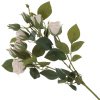 16540_1ba5055f9c0fdc4dd2b5e24b76437ad2