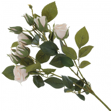 16540_1ba5055f9c0fdc4dd2b5e24b76437ad2