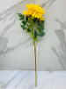 IMG_4745 (3)
