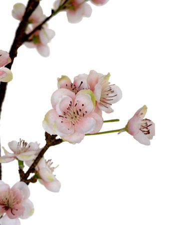 31492_A0023-PINK_4